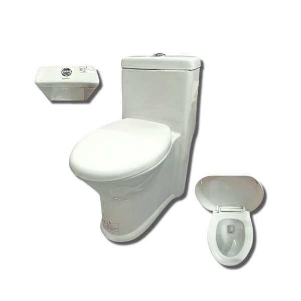 ZZ6605-Water Closet Toilet Bowl