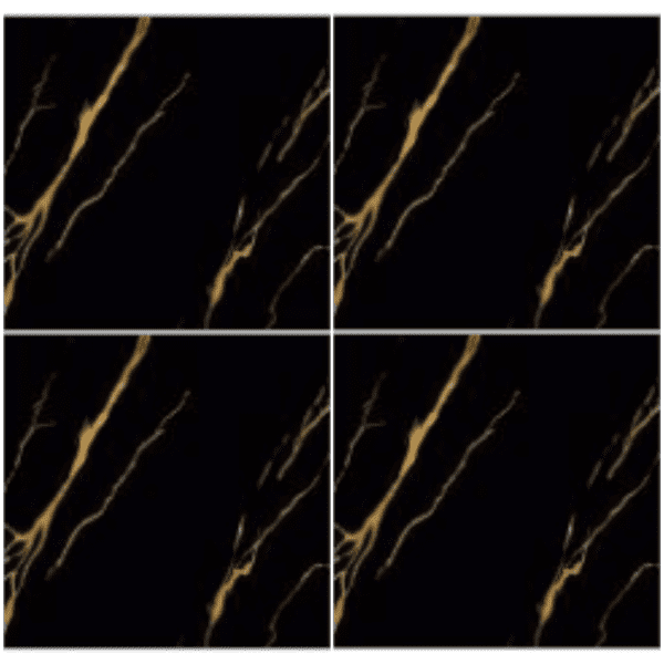 LBK6252H black marble look glazed porcelain tile 60x60 with linear gold veining