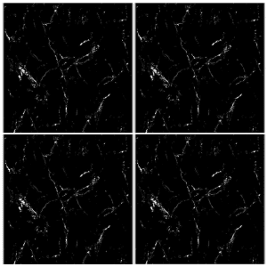 LTP6230H black marble look glazed porcelain tile 60x60 white veining