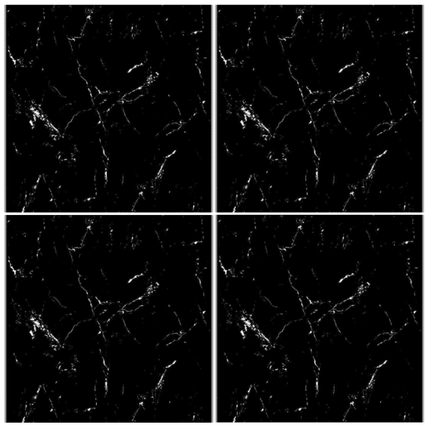 LTP6230H black marble look glazed porcelain tile 60x60 white veining