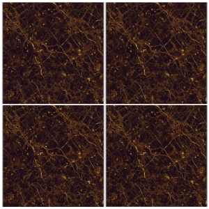LTP6233H dark brown marble look glazed porcelain tile 60x60 gold veining